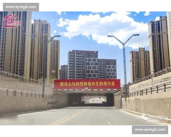 强强碰撞引发的时代变局与创新力量交汇解析